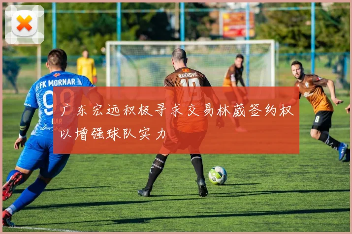 广东宏远积极寻求交易林葳签约权以增强球队实力