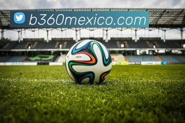 米兰体育服务体系